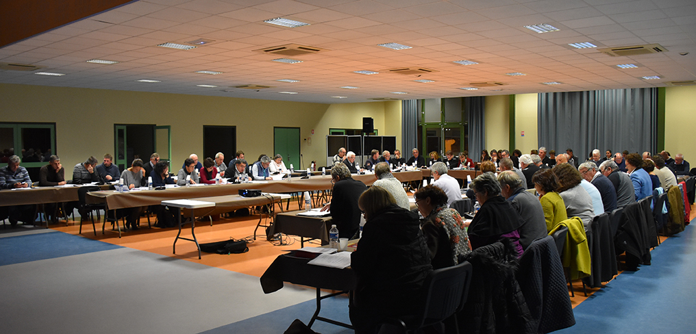 Conseil communautaire Saint-Flour Communauté du 20 novembre 2017