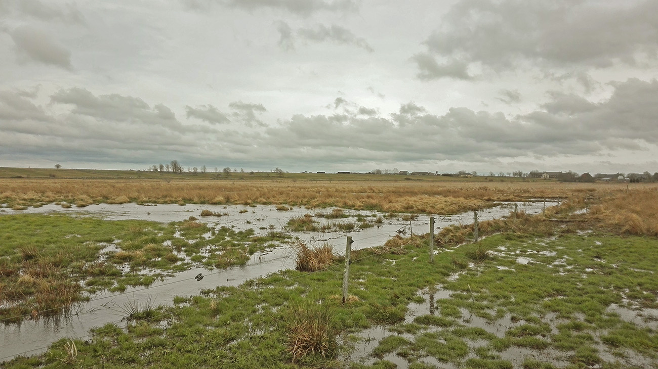 Site Natura 2000 narse de Lascols