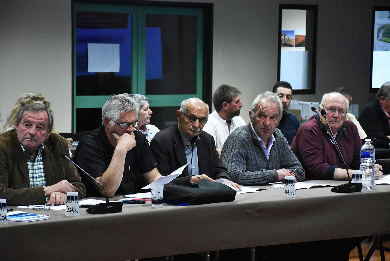 élus conférence des maires