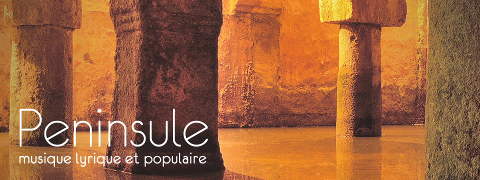visuel concert Péninsule
